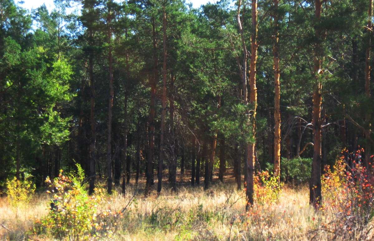 �� ������ ����� Natali  ��������� �� PhotoGeek.ru #������ ��� ������� #����� ��������������