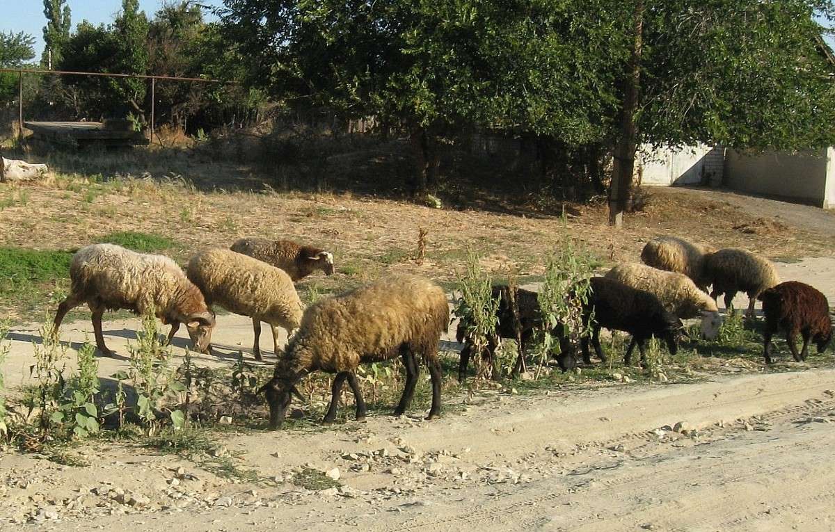 ����. ������ ����� �� �����... ) ����� Natali  ��������� �� PhotoGeek.ru #�������� ��� #������ ��� �������