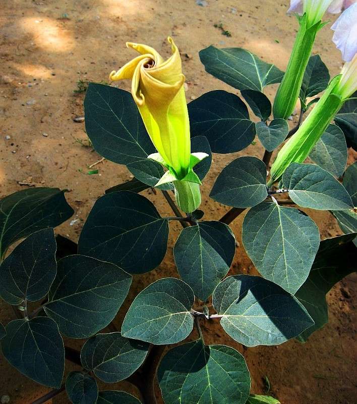 ... ����� Natali  ��������� �� PhotoGeek.ru #����� ��������������