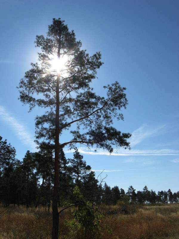 ... ����� Natali  ��������� �� PhotoGeek.ru #������ ��� ������� #����� ��������������