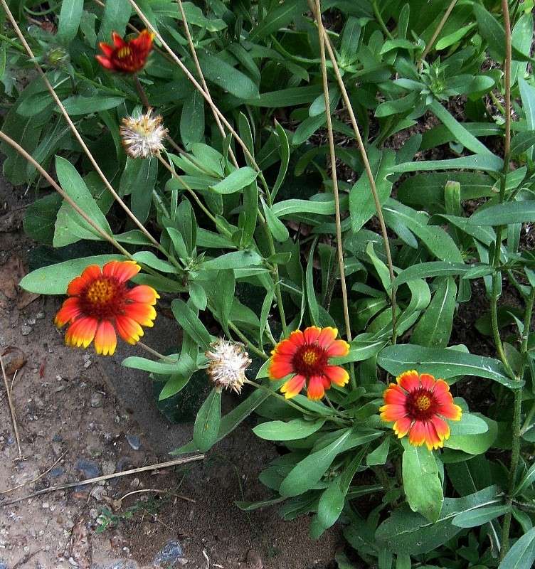 ... ����� Natali  ��������� �� PhotoGeek.ru #������ ��� ������� #����� ��������������