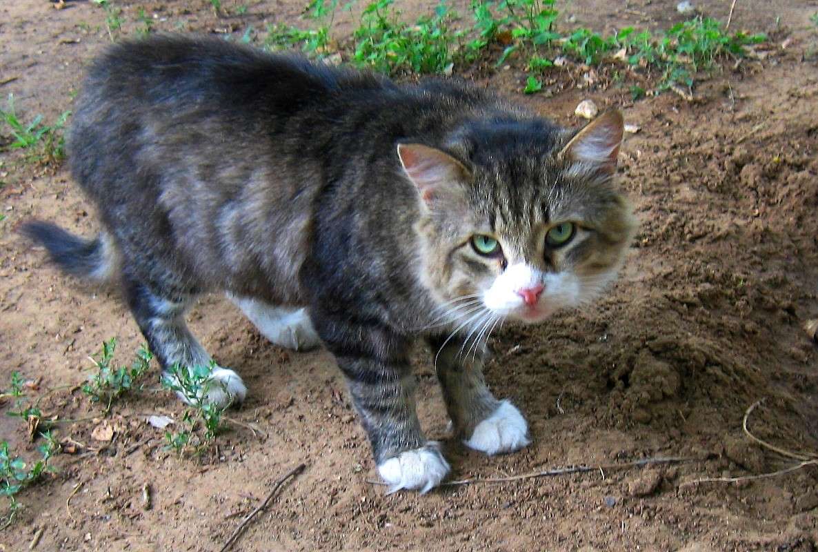 ����������������� ������...) ����� Natali  ��������� �� PhotoGeek.ru #�������� ���