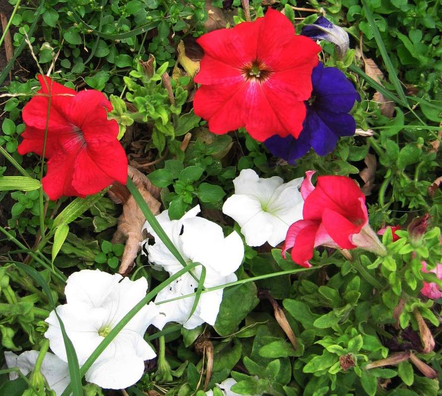 ... ����� Natali  ��������� �� PhotoGeek.ru #����� ��������������