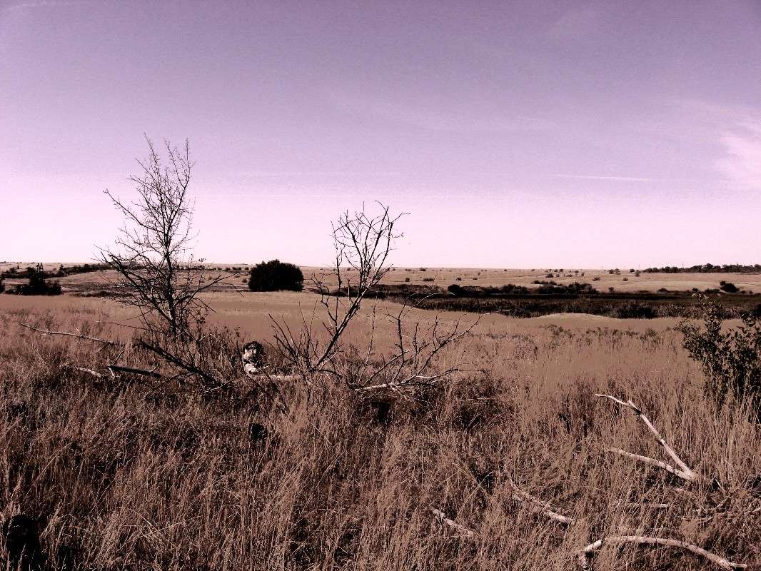 �����...2...))) ����� Natali  ��������� �� PhotoGeek.ru #������ ��� �������