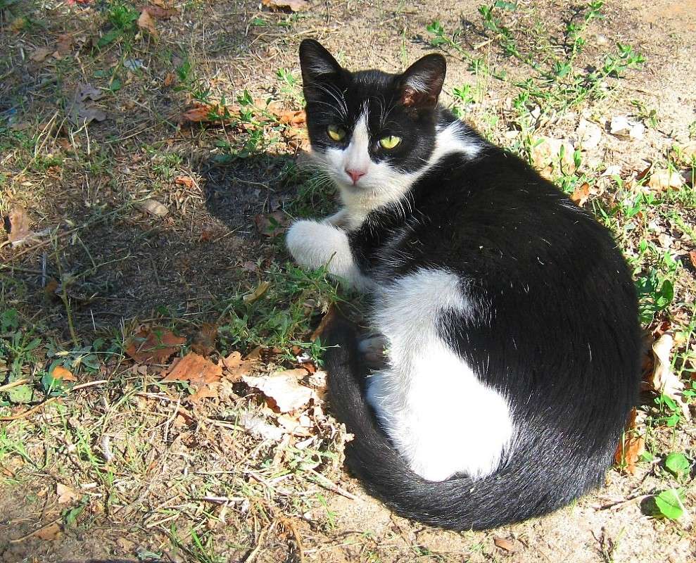 �� ����� ��� ������� ...))) ����� Natali  ��������� �� PhotoGeek.ru #�������� ���