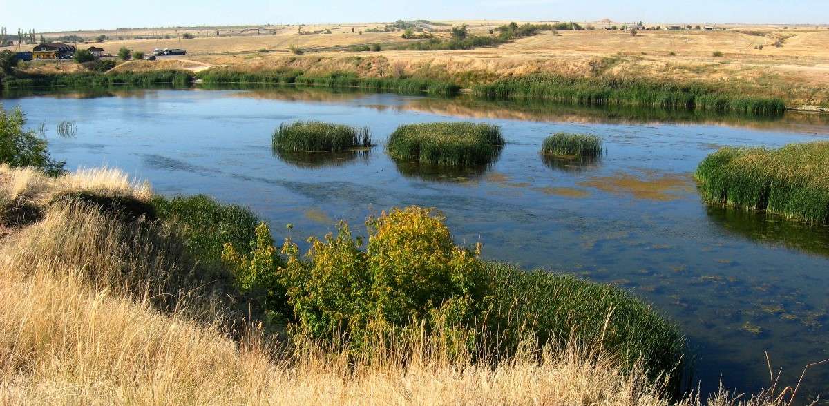 ... ����� Natali  ��������� �� PhotoGeek.ru #������ ��� ������� #����� ��������������