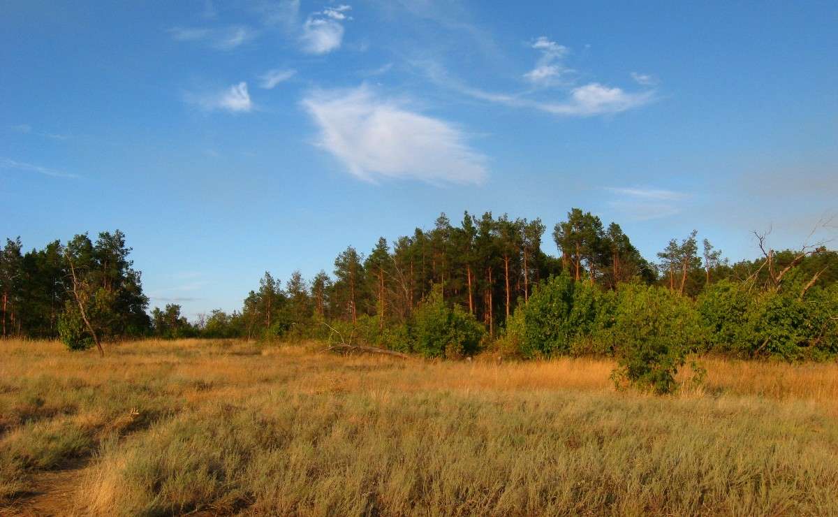 ��, �����....) ����� Natali  ��������� �� PhotoGeek.ru #������ ��� �������