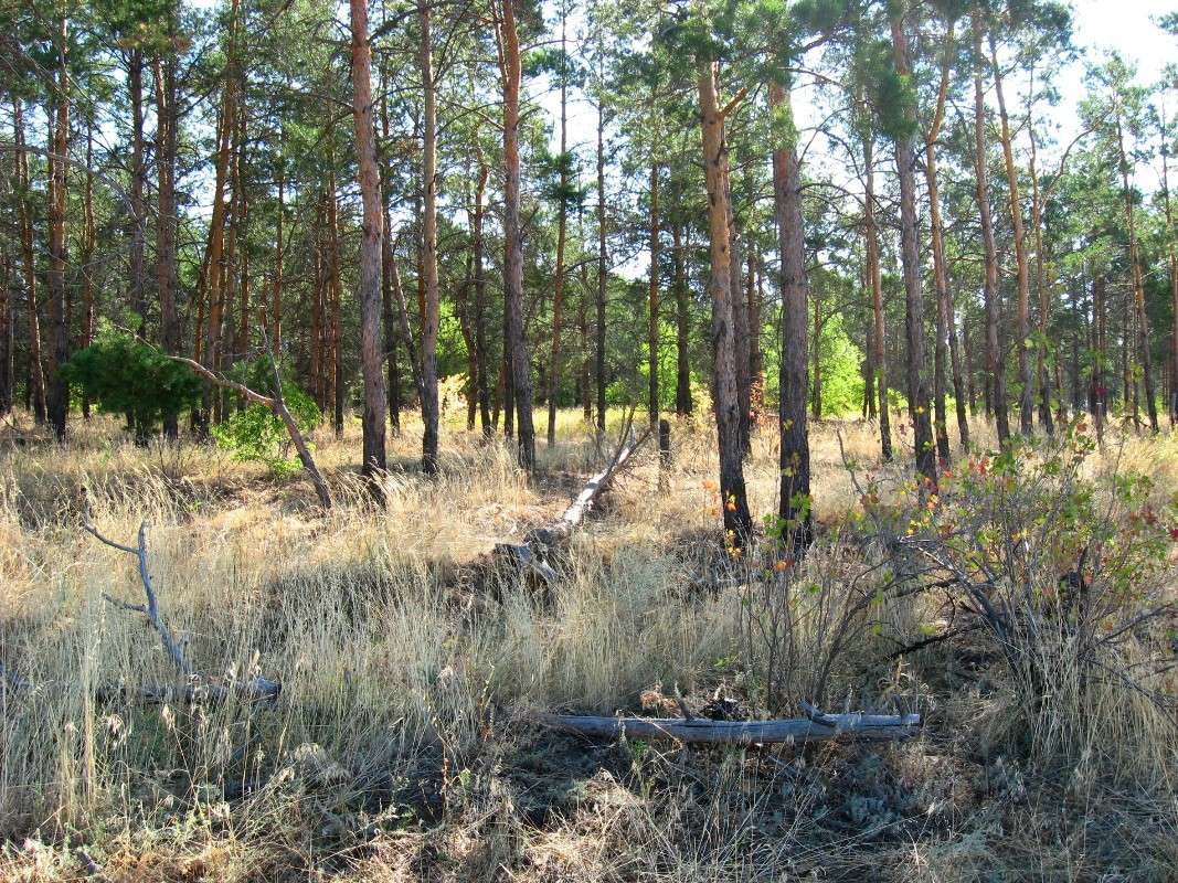 � ��������� ����� ����� Natali  ��������� �� PhotoGeek.ru #������ ��� �������