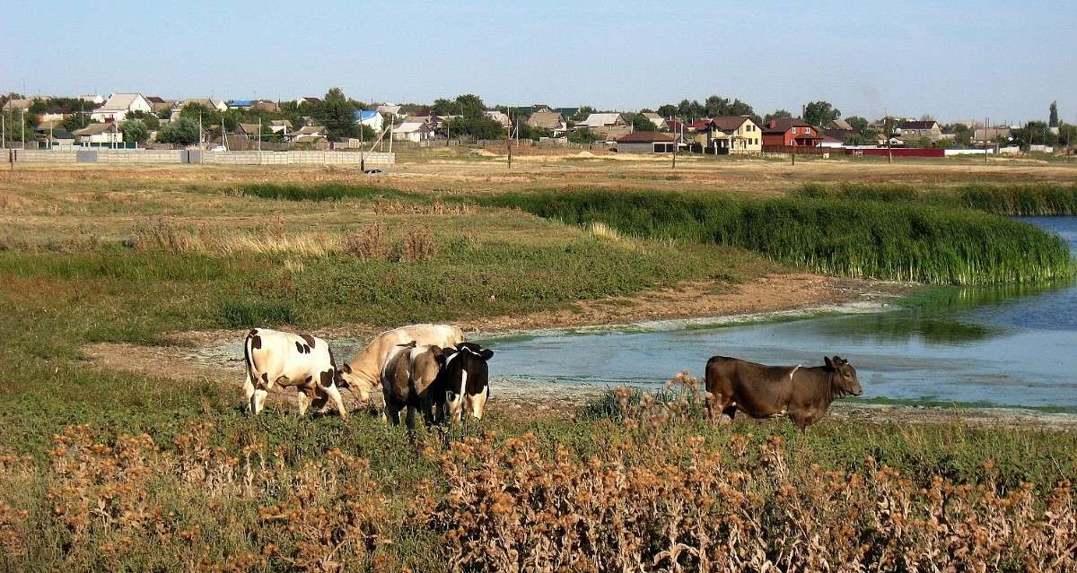 �����-�������...))) ����� Natali  ��������� �� PhotoGeek.ru #�������� ��� #������ ��� �������