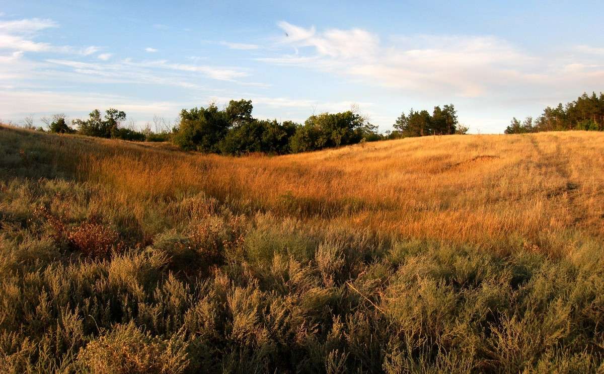 �������  ����� ����� Natali  ��������� �� PhotoGeek.ru #������ ��� ������� #����� ��������������