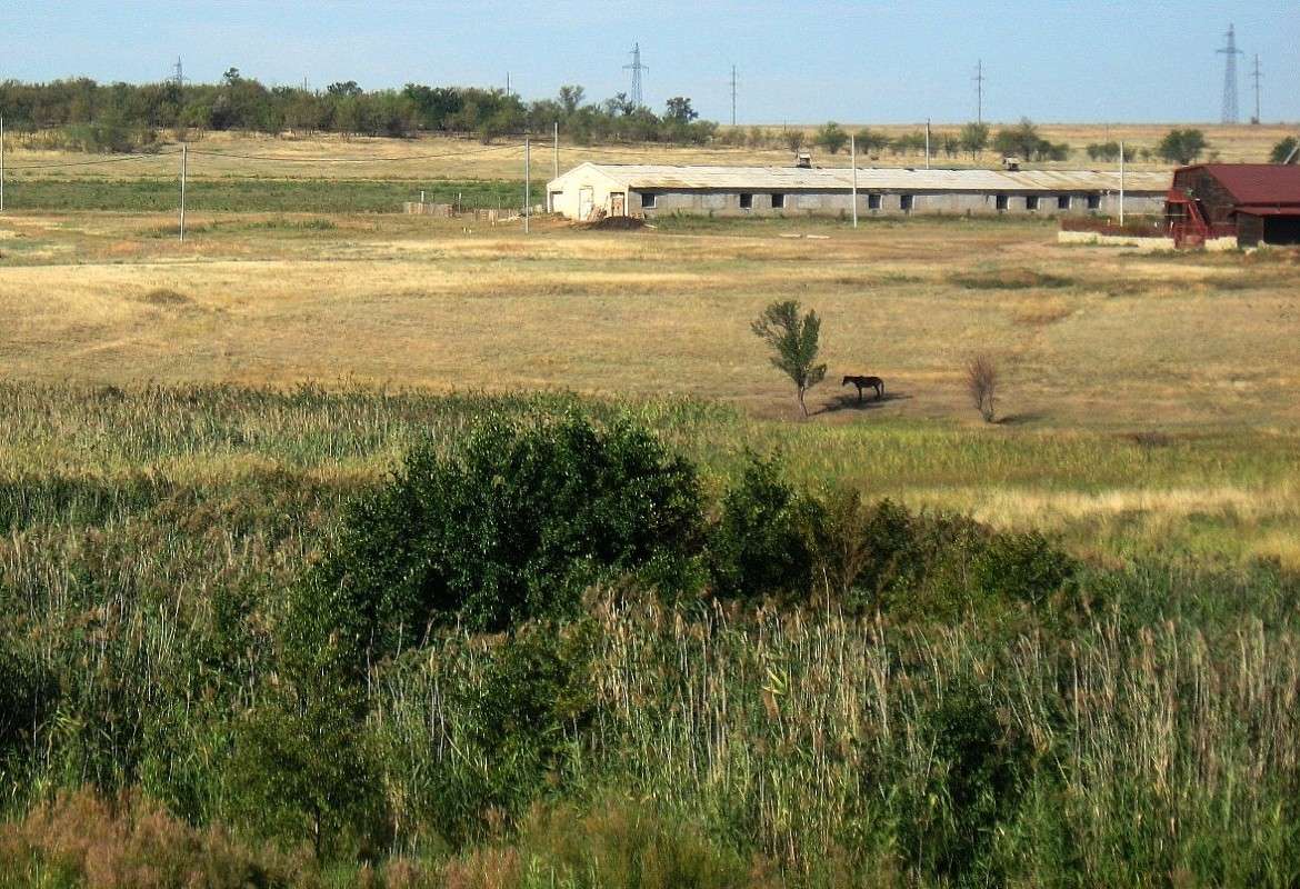 ���, �� �����, � ���� ������...))) ����� Natali  ��������� �� PhotoGeek.ru #�������� ��� #������ ��� ������� #����� ��������