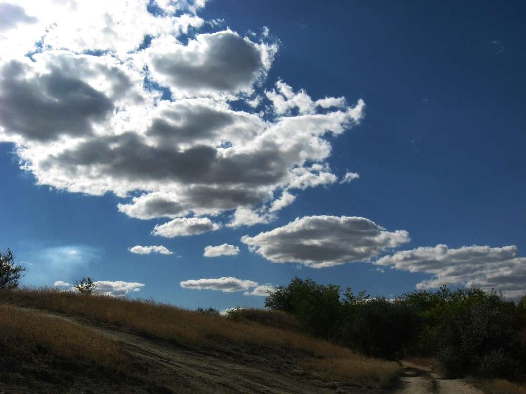 �� ����� � � ����...) ����� Natali  ��������� �� PhotoGeek.ru #������ ��� �������