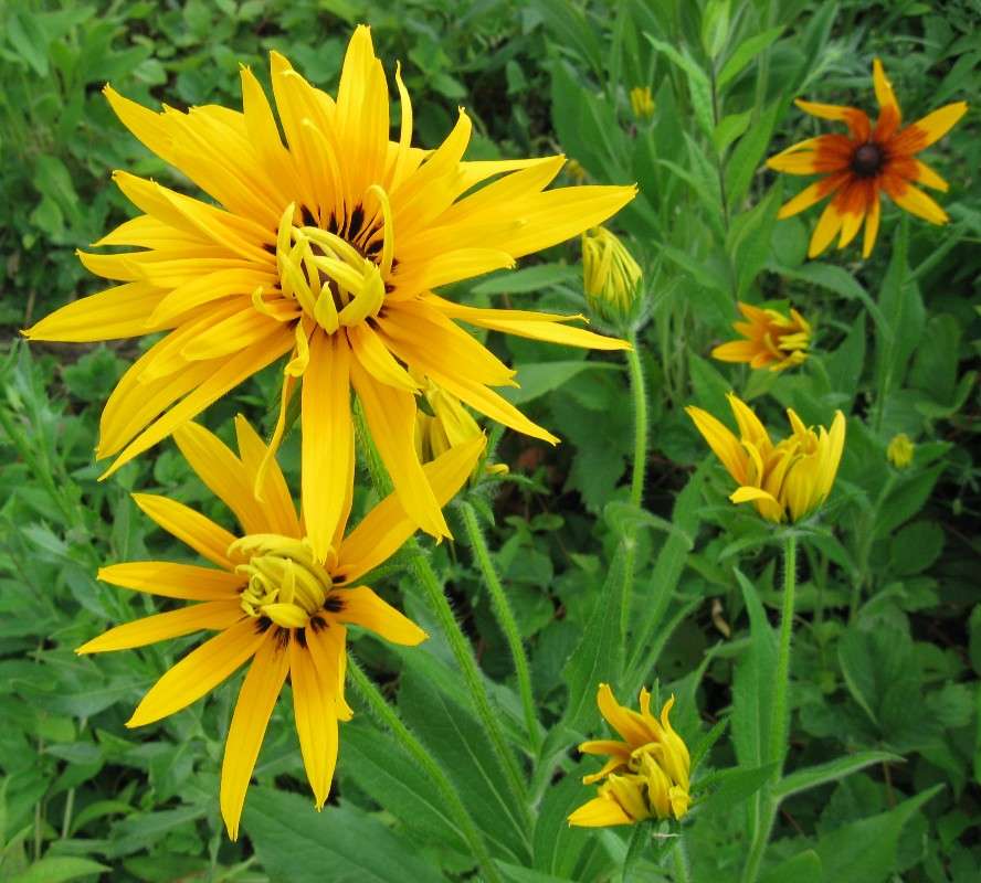 ... ����� Natali  ��������� �� PhotoGeek.ru #������ ��� ������� #����� ��������������