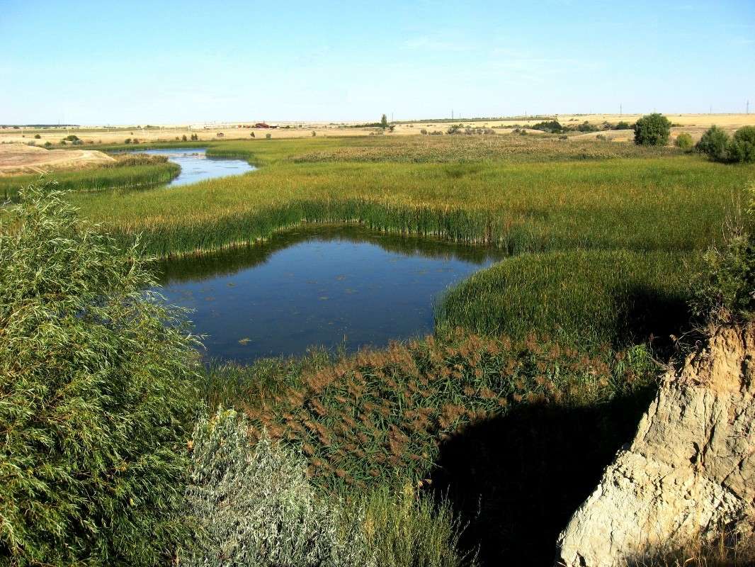 ��������� �������...) ����� Natali  ��������� �� PhotoGeek.ru #������ ��� ������� #����� ��������������