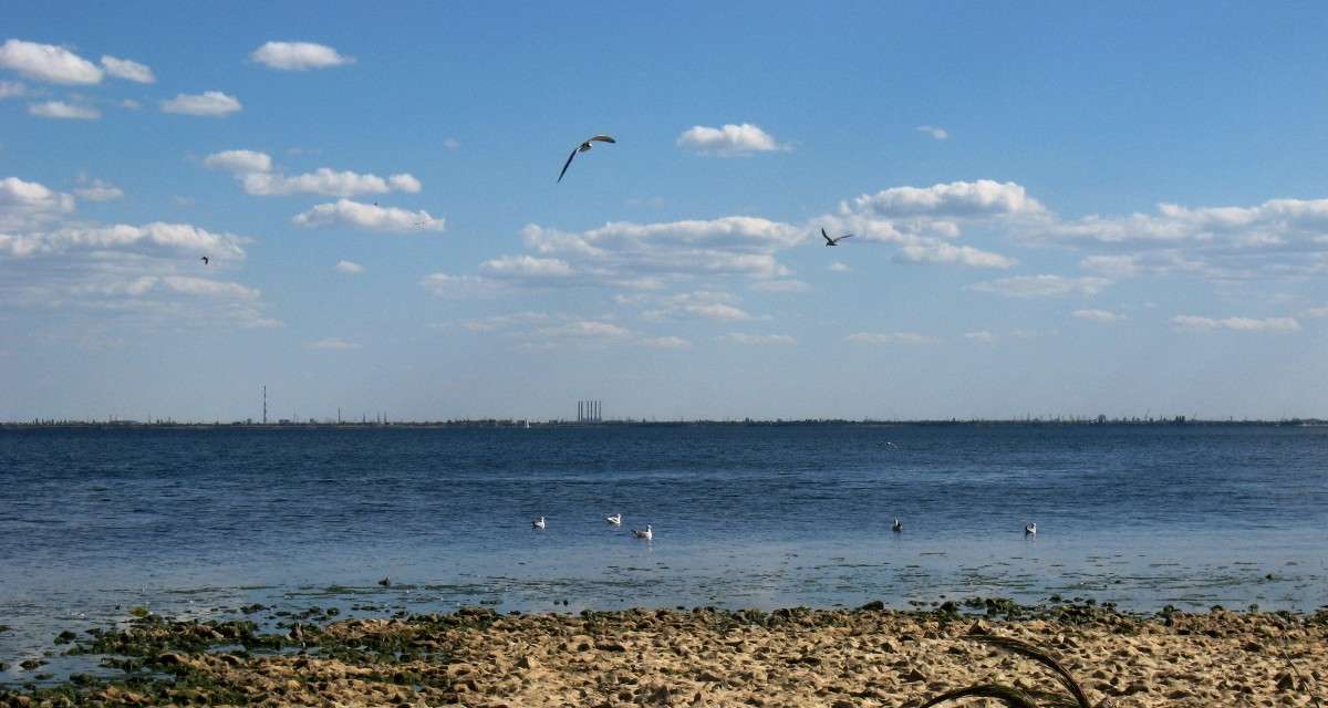 ... ����� Natali  ��������� �� PhotoGeek.ru #������ ��� �������