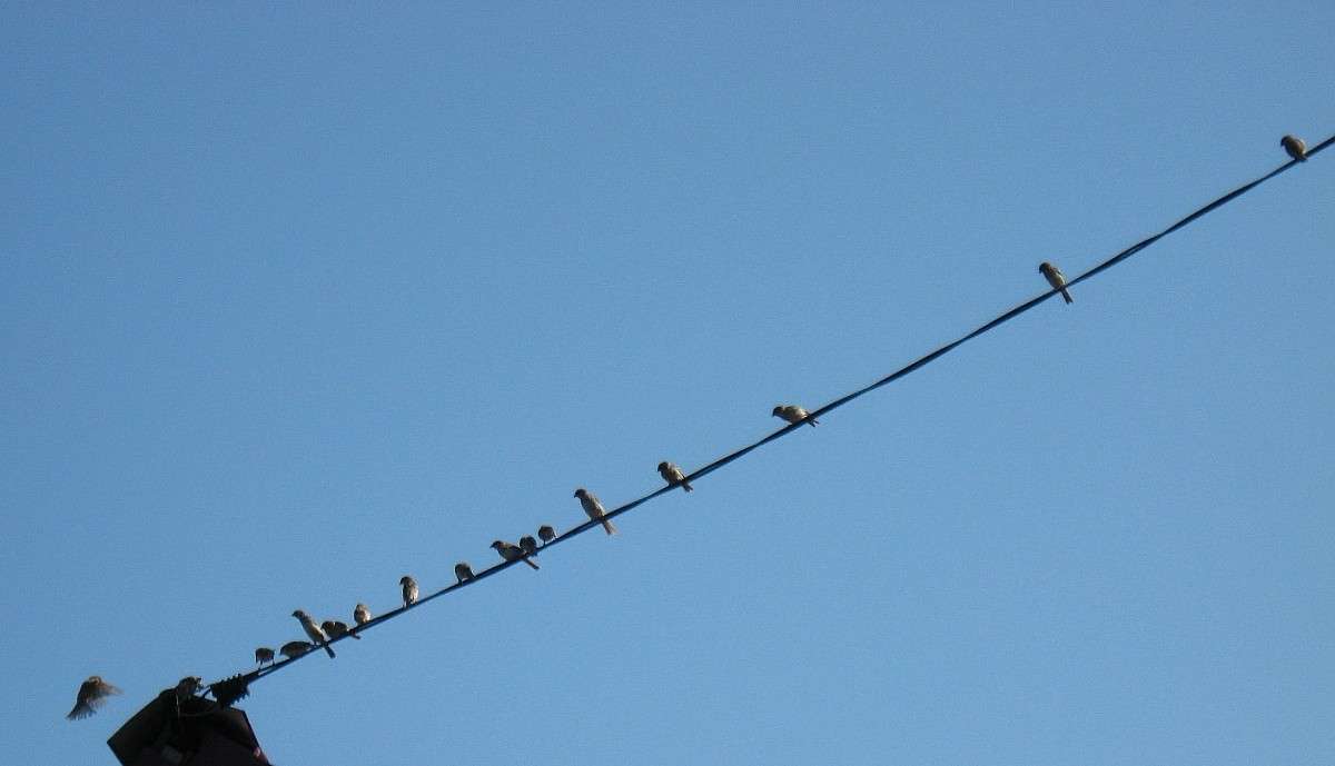 ... ����� Natali  ��������� �� PhotoGeek.ru #�������� ���