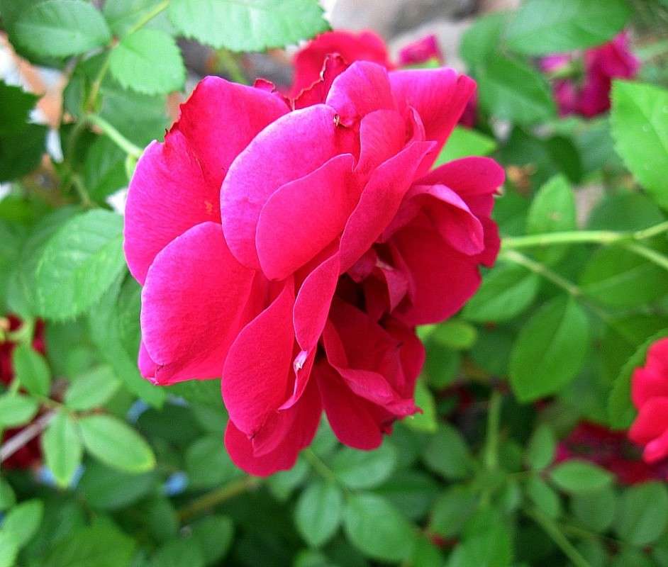 ... ����� Natali  ��������� �� PhotoGeek.ru #����� ��������������