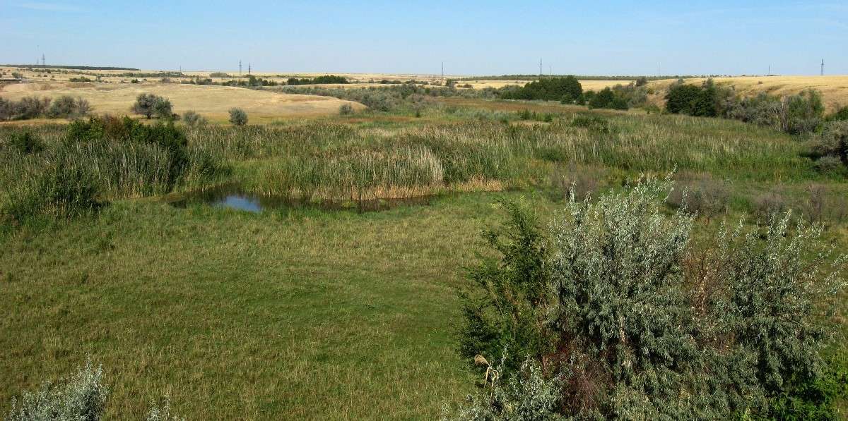 ... ����� Natali  ��������� �� PhotoGeek.ru #������ ��� �������