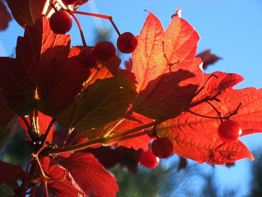 ������� ����� Natali  ��������� �� PhotoGeek.ru #������ ��� ������� #����� ��������������