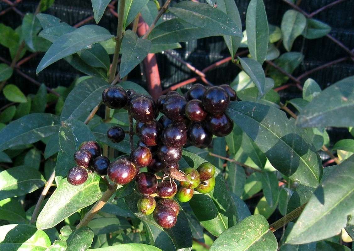 ������......) ����� Natali  ��������� �� PhotoGeek.ru #������ ��� ������� #����� ��������������