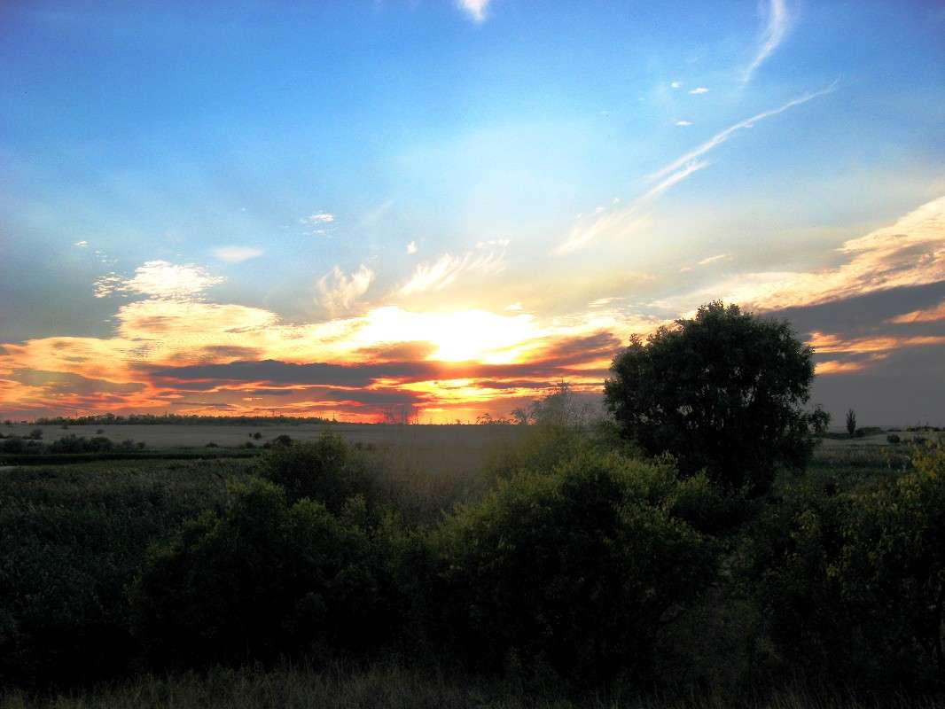 ������ �������...2 ����� Natali  ��������� �� PhotoGeek.ru #������ ��� �������