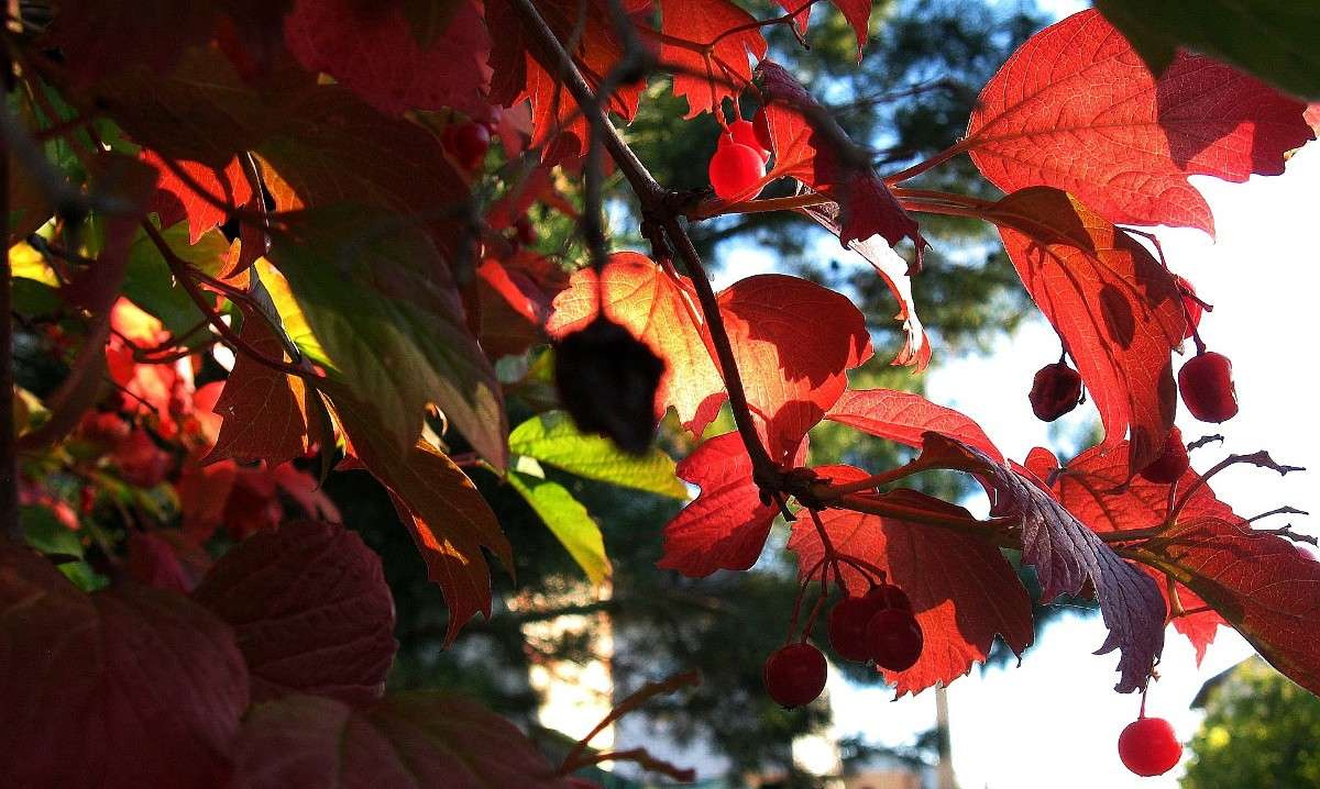 ������ ������� ...3 ����� Natali  ��������� �� PhotoGeek.ru #������ ��� ������� #����� ��������������