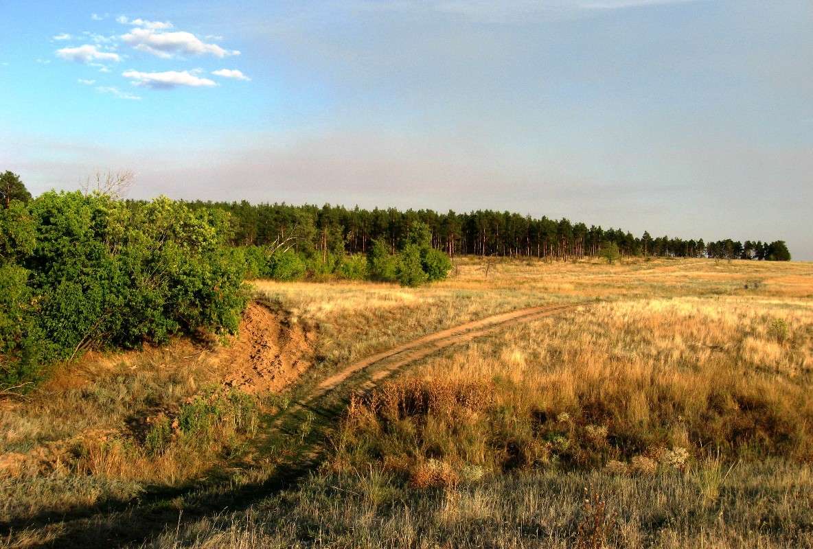 ����� ���� ����� Natali  ��������� �� PhotoGeek.ru #������ ��� ������� #����� ��������������