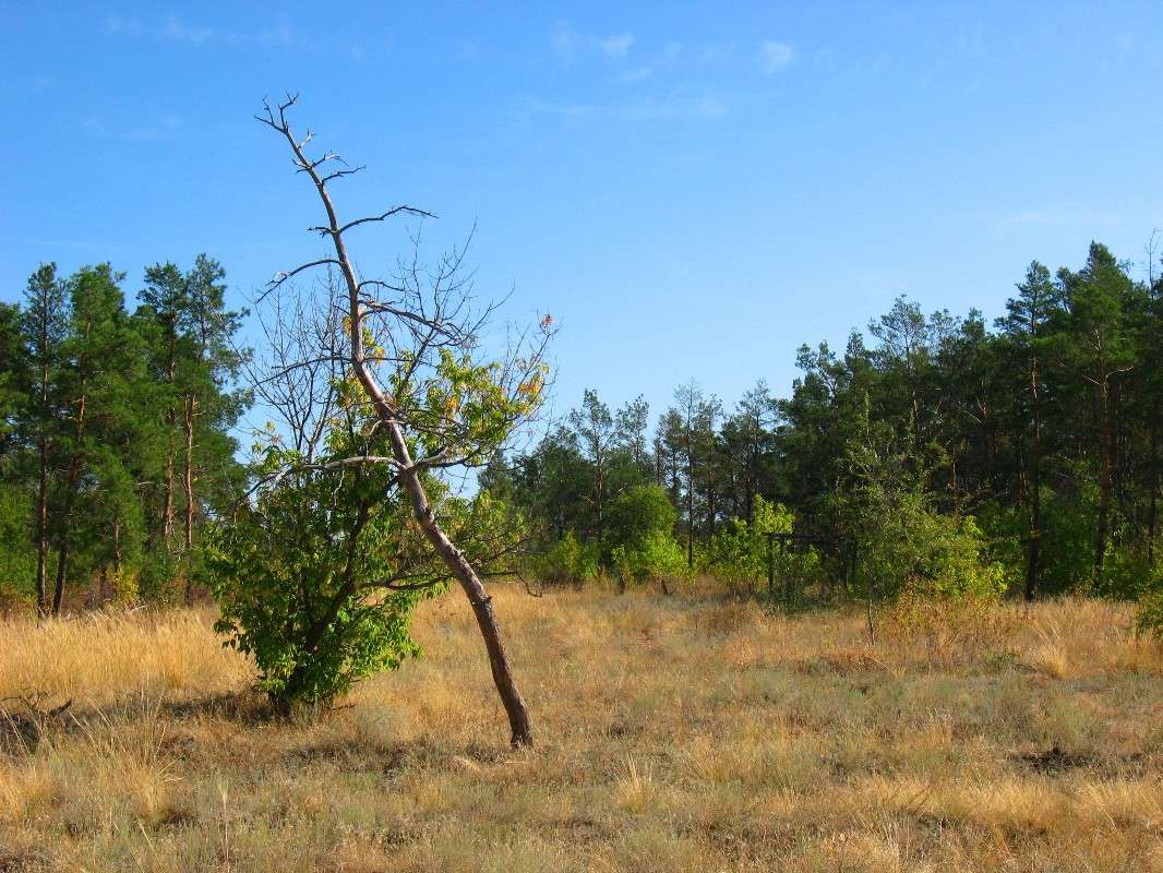 �������...) ����� Natali  ��������� �� PhotoGeek.ru #������ ��� ������� #����� ��������������