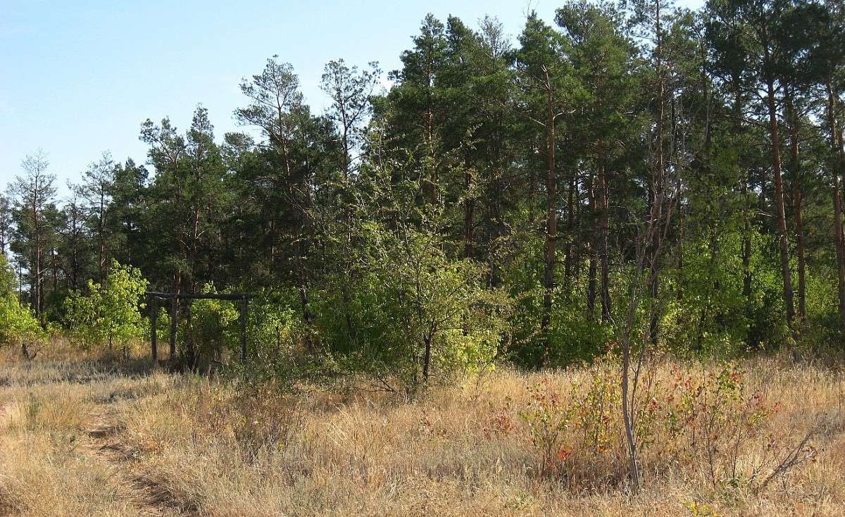 ))) ����� Natali  ��������� �� PhotoGeek.ru #������ ��� �������