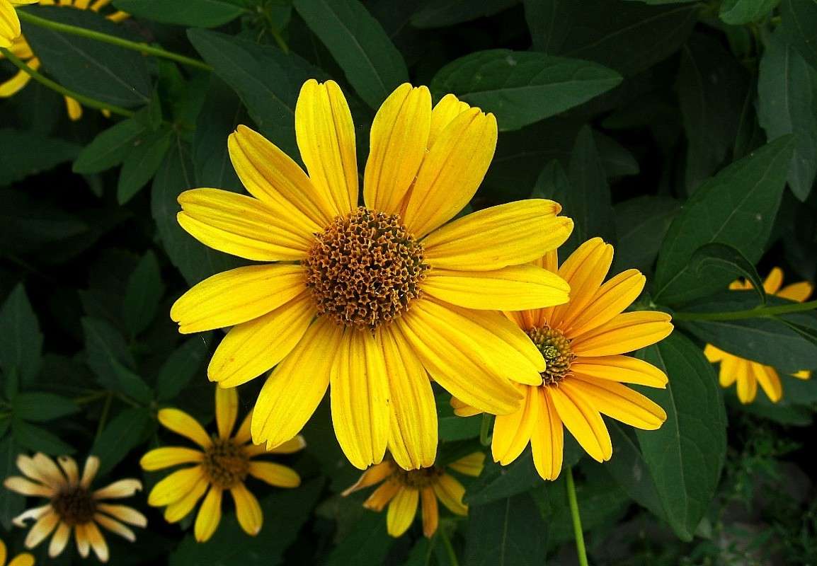 ��� ����� ����� ����� Natali  ��������� �� PhotoGeek.ru #������ ��� ������� #����� ��������������