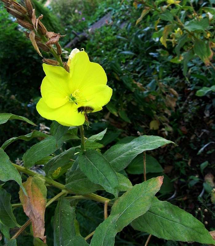 ��������...) ����� Natali  ��������� �� PhotoGeek.ru #������ ��� ������� #����� ��������������