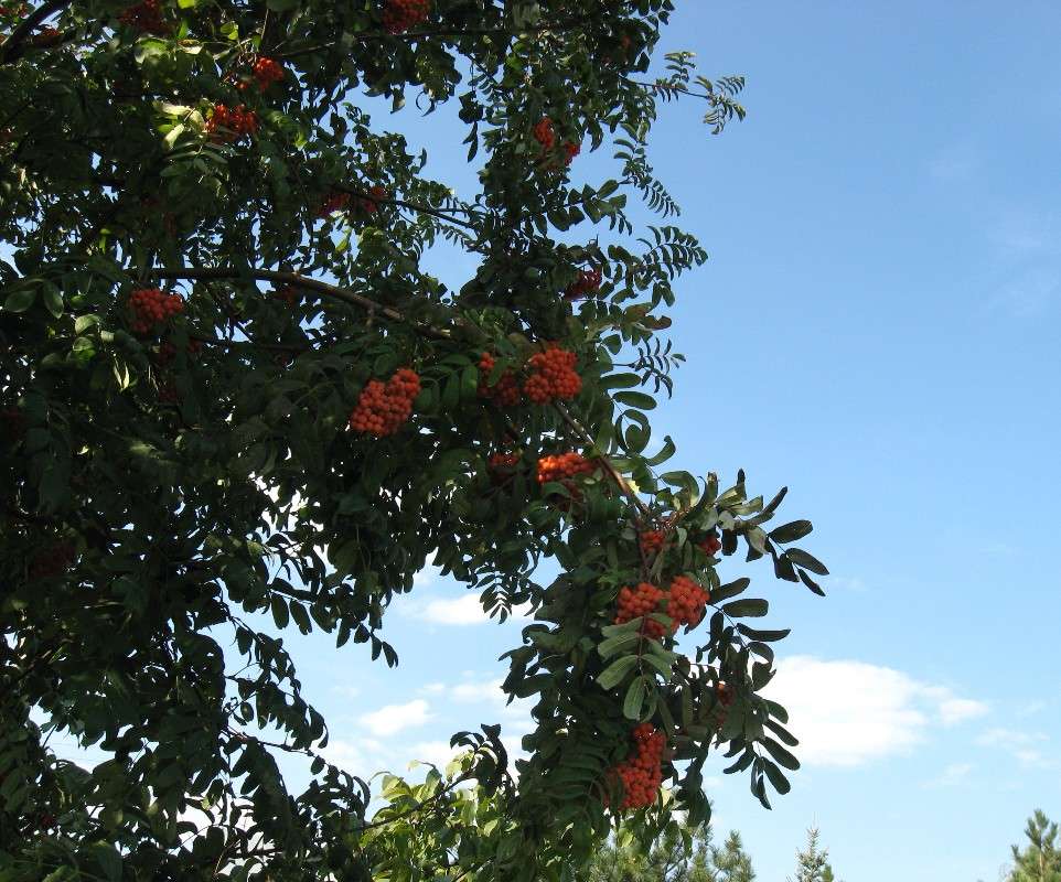 ��������������... ) ����� Natali  ��������� �� PhotoGeek.ru #������ ��� ������� #����� ��������������