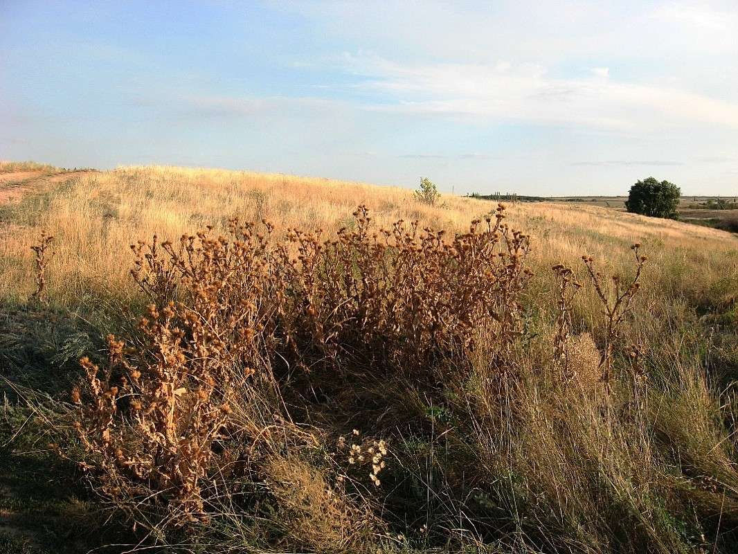 � ��������....) ����� Natali  ��������� �� PhotoGeek.ru #������ ��� ������� #����� ��������������