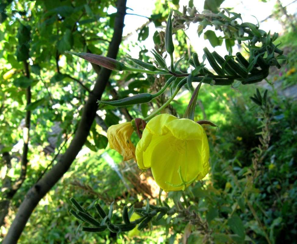 �����������...) ����� Natali  ��������� �� PhotoGeek.ru #������ ��� ������� #����� ��������������