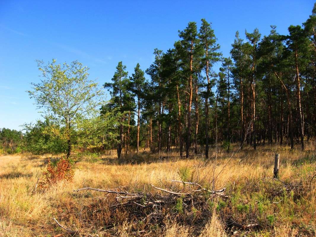 ������������ ����� ����� Natali  ��������� �� PhotoGeek.ru #������ ��� �������