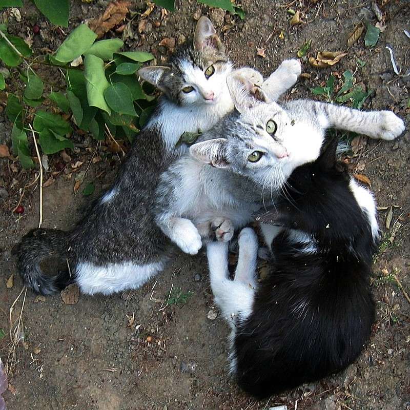 ��� ������ ����� Natali  ��������� �� PhotoGeek.ru #�������� ���