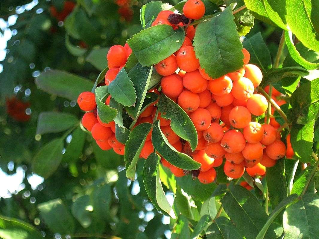 ... ����� Natali  ��������� �� PhotoGeek.ru #������ ��� ������� #����� ��������������