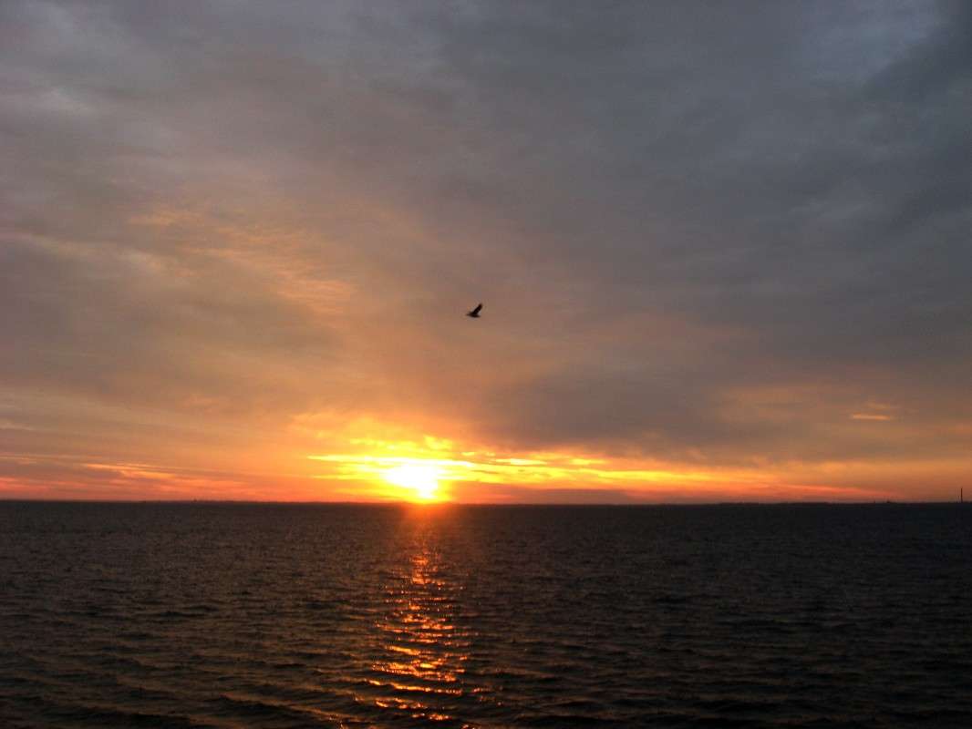 ������ ����� Natali  ��������� �� PhotoGeek.ru #������ ��� �������