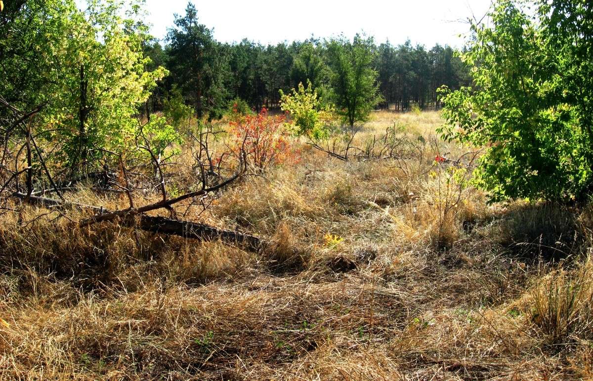 ������������ �����..2 ����� Natali  ��������� �� PhotoGeek.ru #������ ��� �������