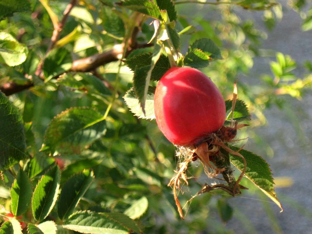 ... ����� Natali  ��������� �� PhotoGeek.ru #������ ��� ������� #����� ��������������