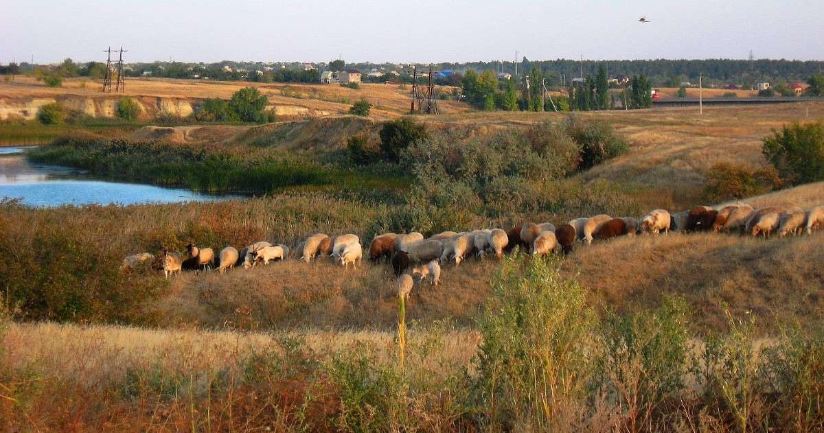 �����. ���������...))) ����� Natali  ��������� �� PhotoGeek.ru #�������� ��� #������ ��� ������� #�������� ����������