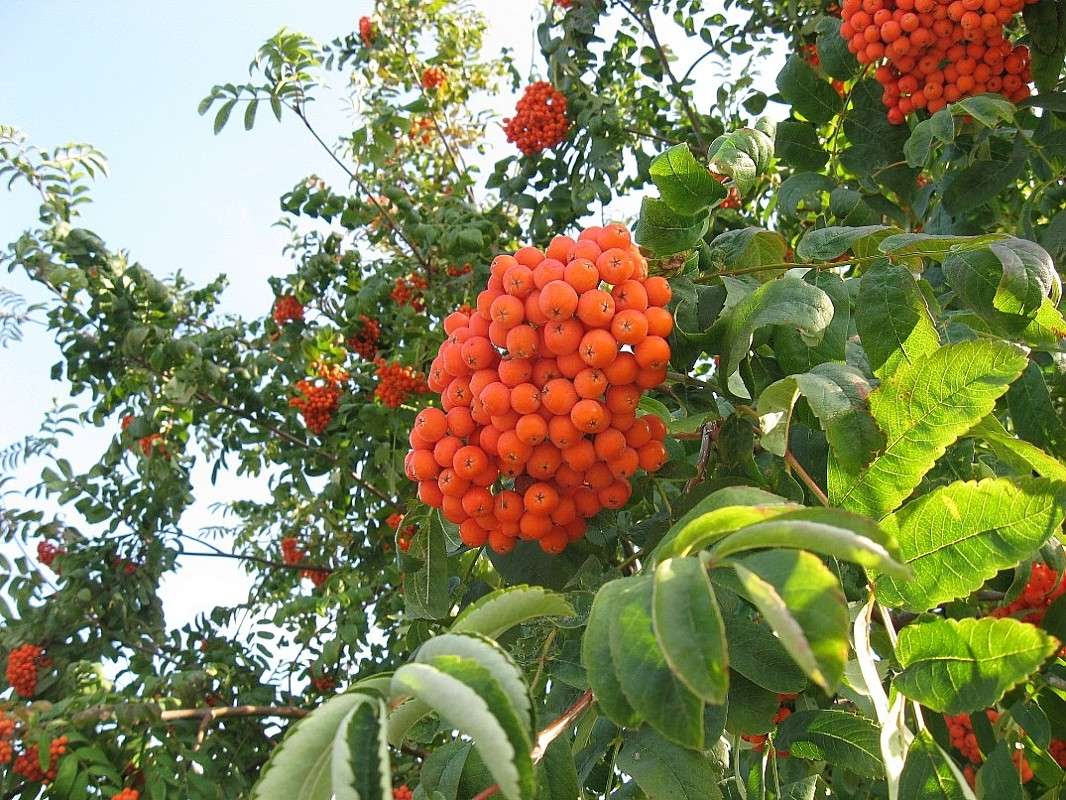 ��������� ����� Natali  ��������� �� PhotoGeek.ru #������ ��� ������� #����� ��������������