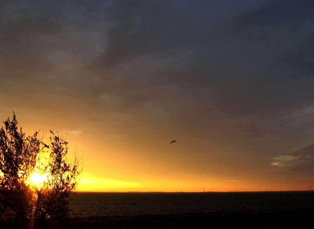 ������ ����� Natali  ��������� �� PhotoGeek.ru #������ ��� �������