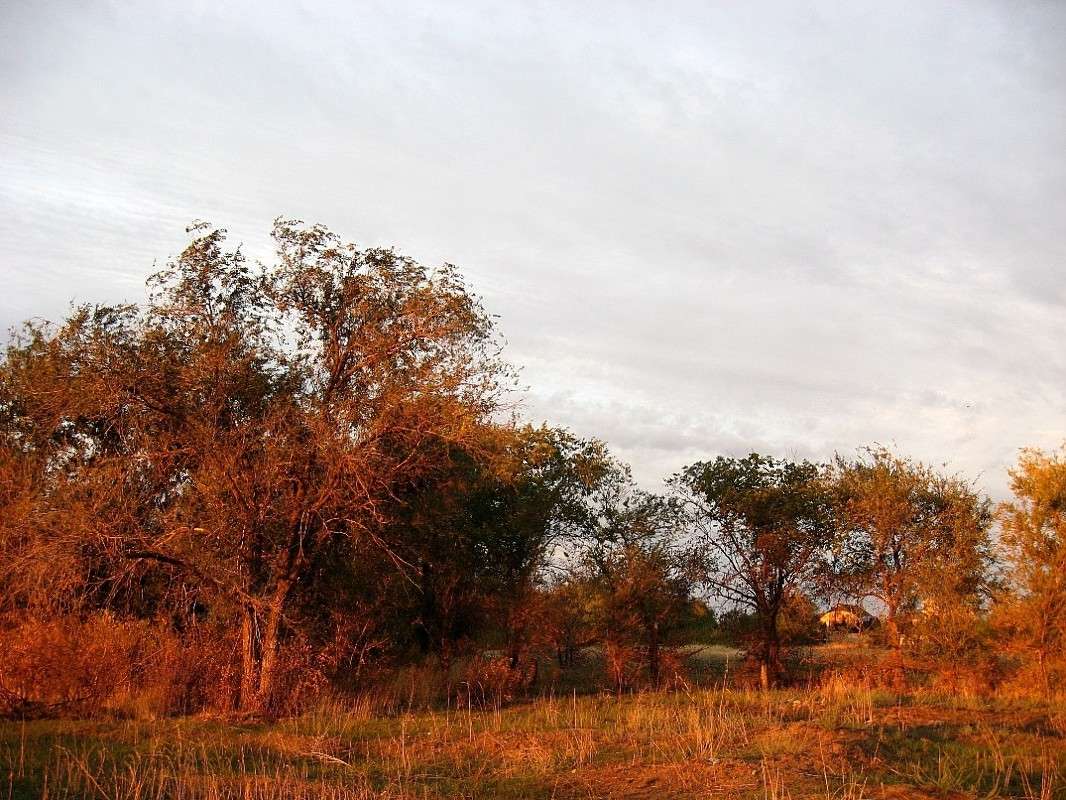 ������ ���� ����� Natali  ��������� �� PhotoGeek.ru #������ ��� �������