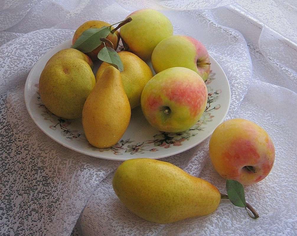 ������ ������... ) ����� Natali  ��������� �� PhotoGeek.ru #�������� ����������