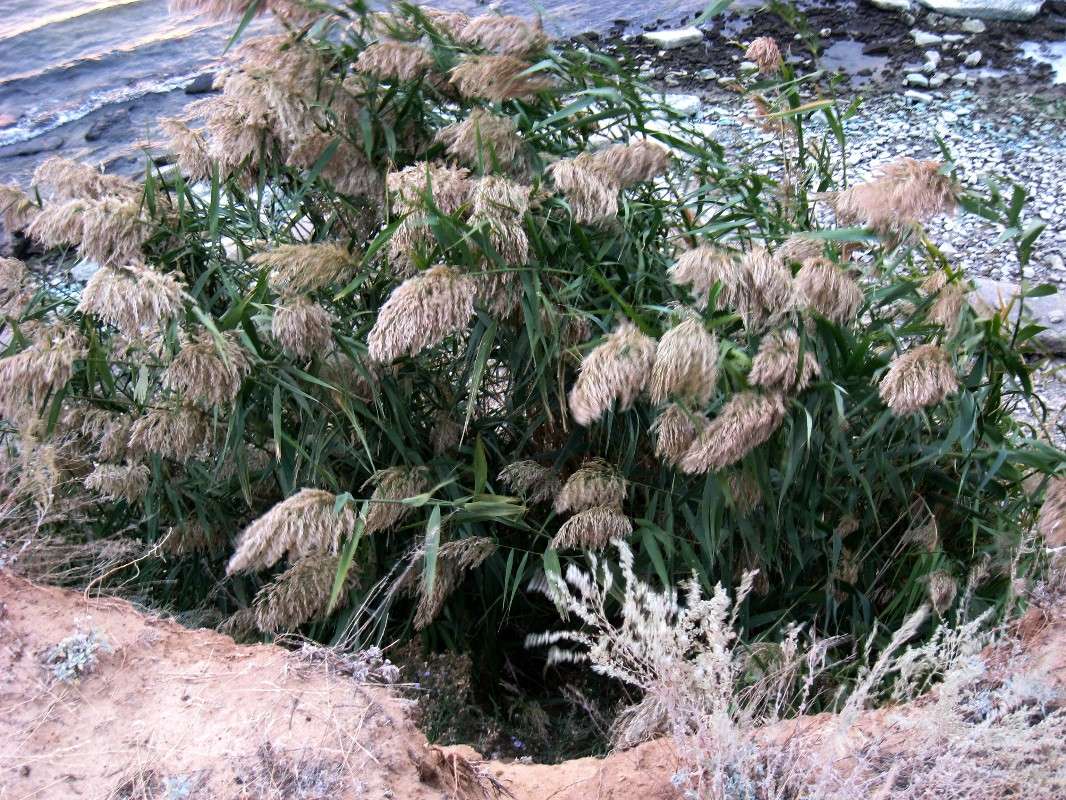 ������ ����� Natali  ��������� �� PhotoGeek.ru #������ ��� ������� #����� ��������������