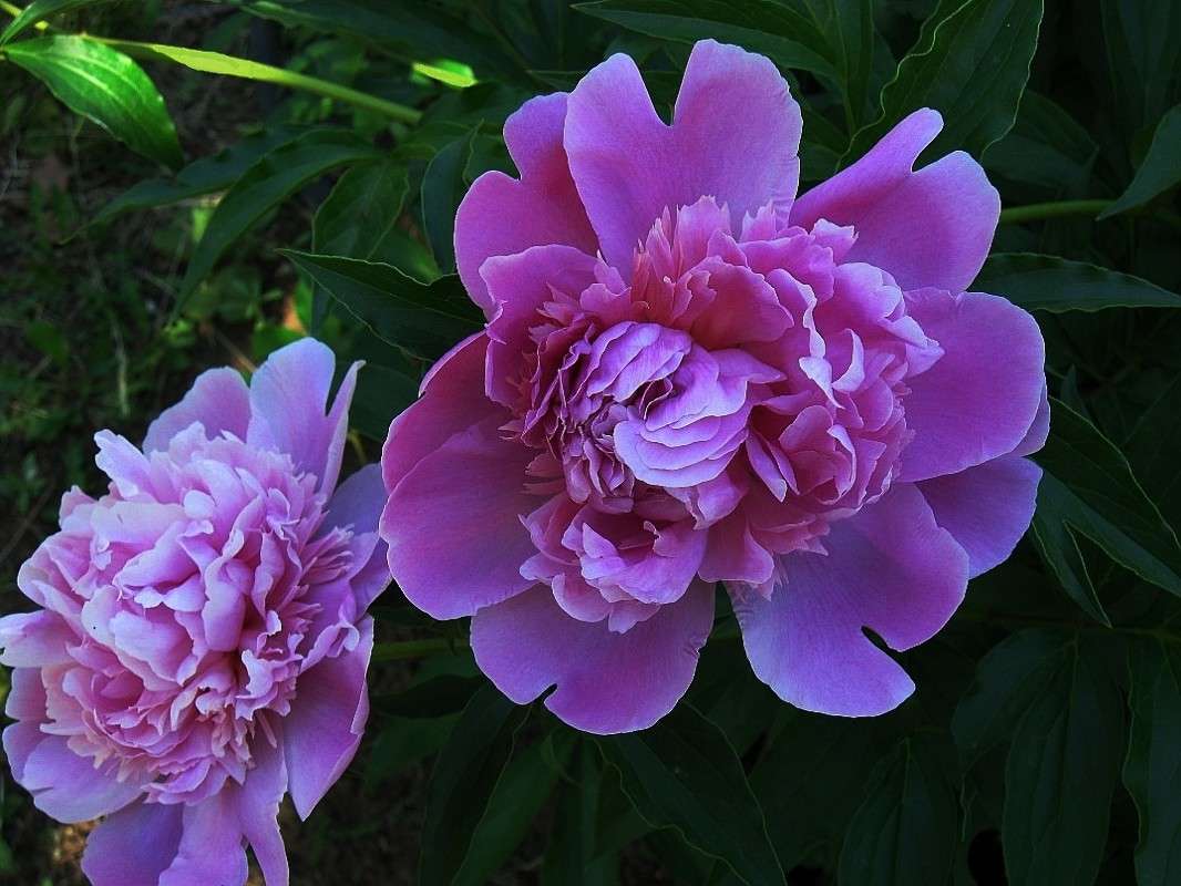 ... ����� Natali  ��������� �� PhotoGeek.ru #������ ��� ������� #����� ��������������