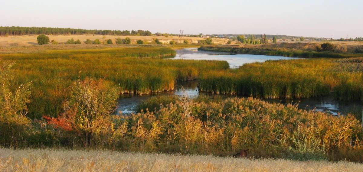 ... ����� Natali  ��������� �� PhotoGeek.ru #������ ��� ������� #����� ��������������