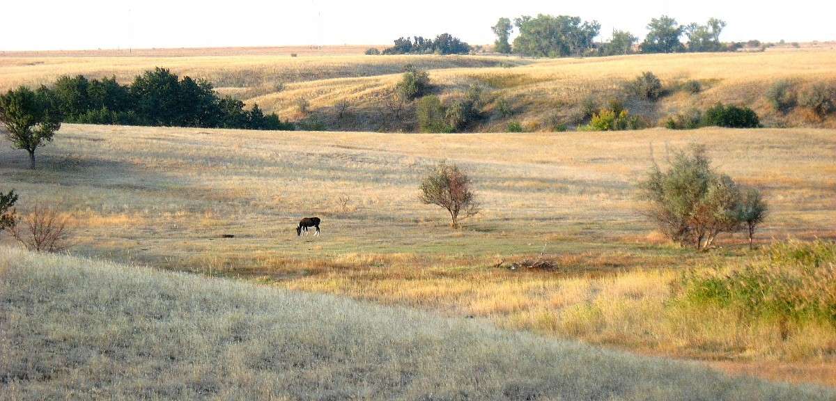 �������� ������...))) ����� Natali  ��������� �� PhotoGeek.ru #�������� ��� #������ ��� �������