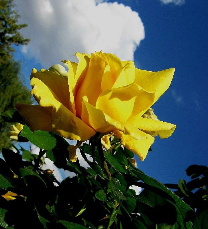 ... ����� Natali  ��������� �� PhotoGeek.ru #������ ��� ������� #����� ��������������